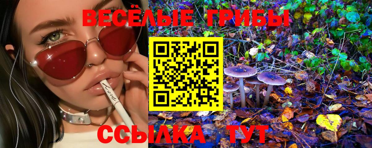 Балабаново  Галлюциногенные грибы мицелий  Вход с VPN 