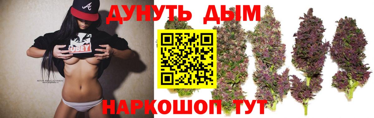 Канабис конопля Балабаново